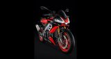 APRILIA TUONO V4 1100 Factory E5+